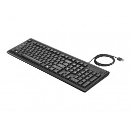 HP KEYBOARD 100