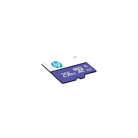MICRO SD 256GB CL10 U3