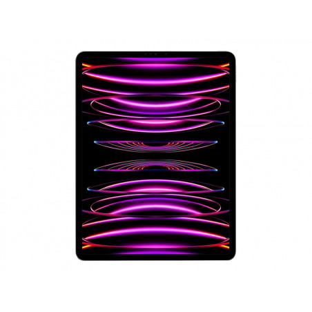 APPLE IPAD PRO 12.9 M2 WIFI 1TB SPACE GRAY