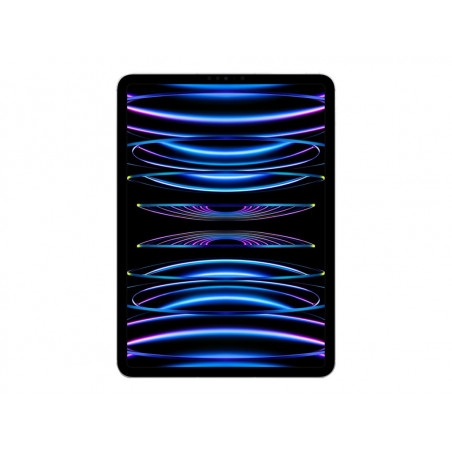 IPAD PRO 11 4GEN WF  CELL 1TB S