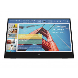 E14 G4 Portable Monitor